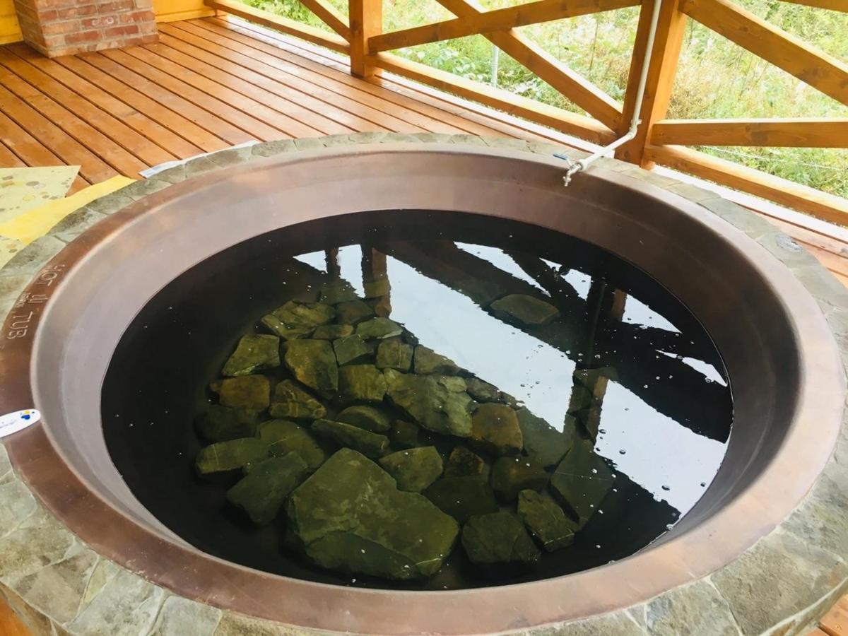Baza Vidpochynku Ilz Villa Slavske Buitenkant foto