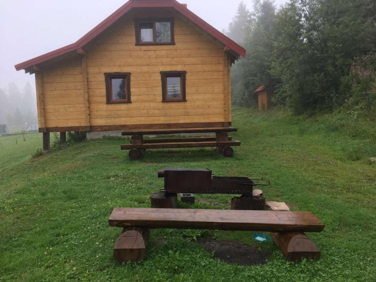 Baza Vidpochynku Ilz Villa Slavske Buitenkant foto
