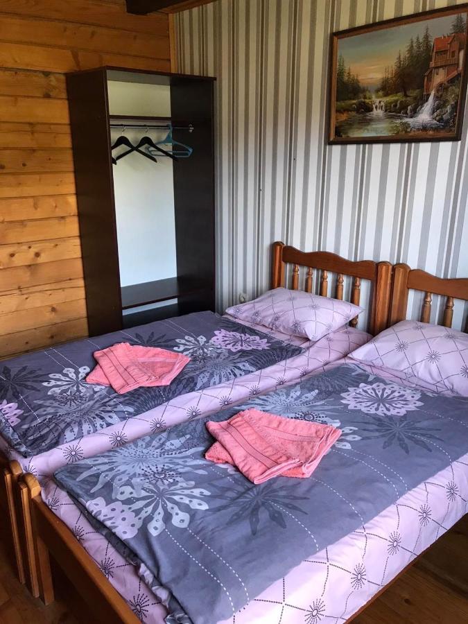 Baza Vidpochynku Ilz Villa Slavske Buitenkant foto