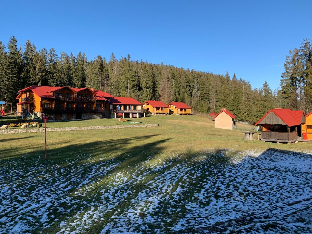 Baza Vidpochynku Ilz Villa Slavske Buitenkant foto