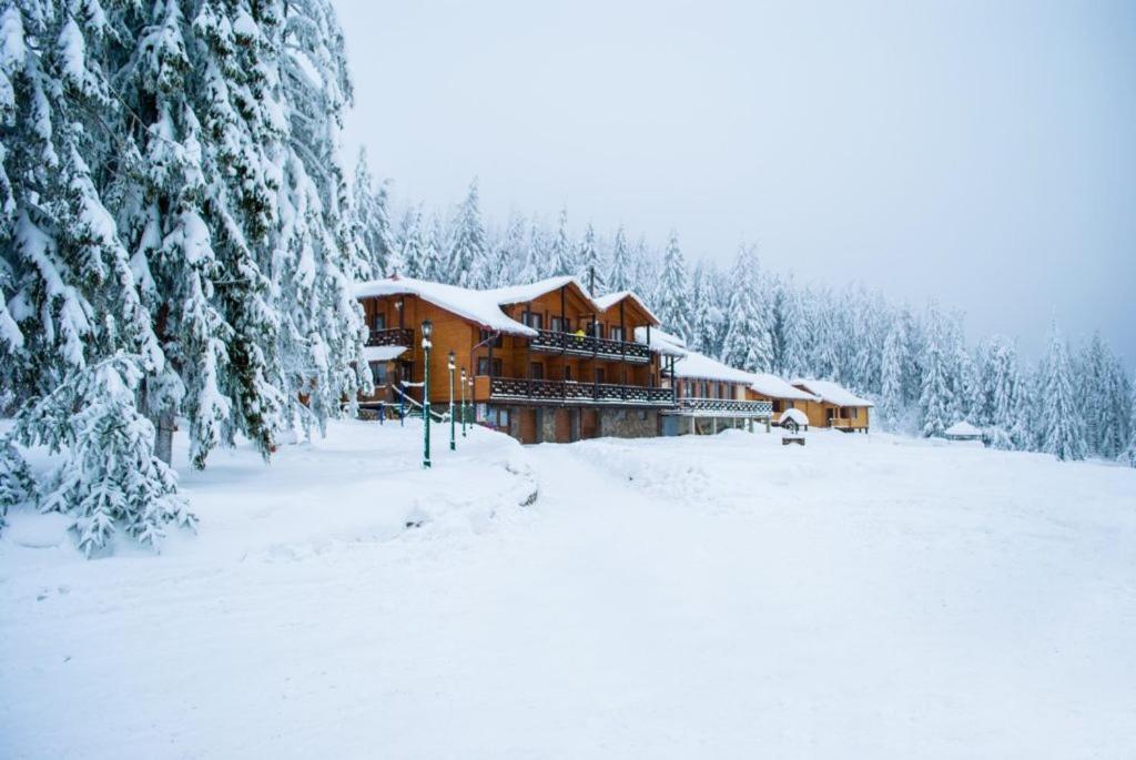 Baza Vidpochynku Ilz Villa Slavske Buitenkant foto