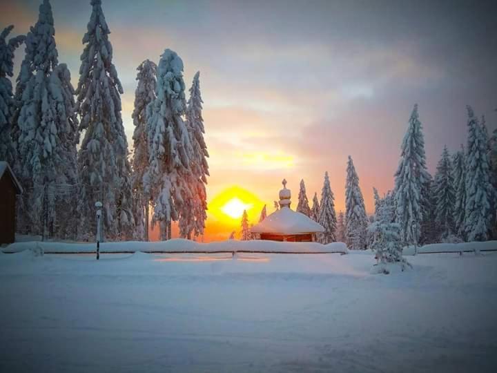 Baza Vidpochynku Ilz Villa Slavske Buitenkant foto