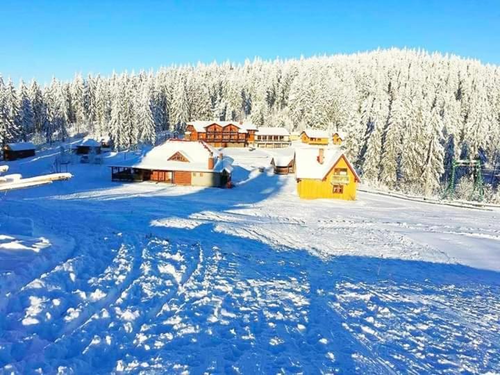Baza Vidpochynku Ilz Villa Slavske Buitenkant foto